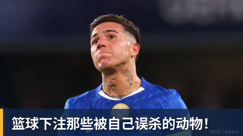 篮球下注那些被自己误杀的动物！