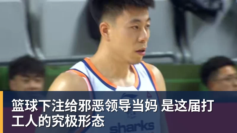 篮球下注给邪恶领导当妈 是这届打工人的究极形态